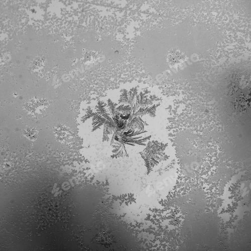 Preview: Ice Flowers On Glass - Texture