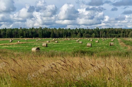 Preview: Rolls Of Hay In Green Field Under Blue Sky. Countryside Scenenery In Latvia