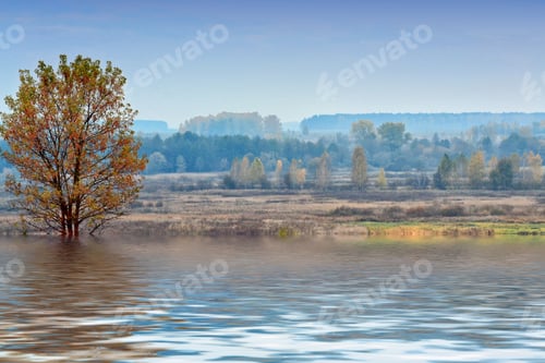 Preview: Landscape With The Bright Green Trees And Blue Sky.