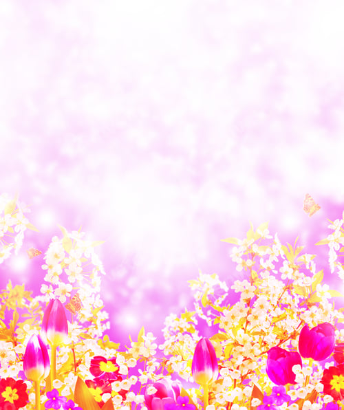 Preview: Nature. Blossoming Branch Apple, Tulips. Bright Colorful Spring Flowers. Insects Butterflies