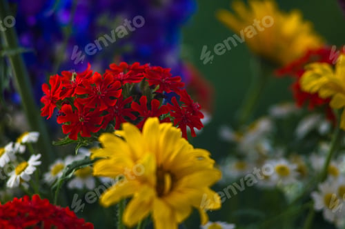 Preview: A Bouquet Of Bright Spring Flowers Of Various Types