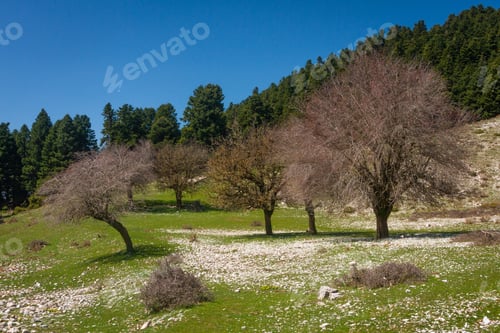 Preview: Mountain Landscapes In Tzoumerka,Greece