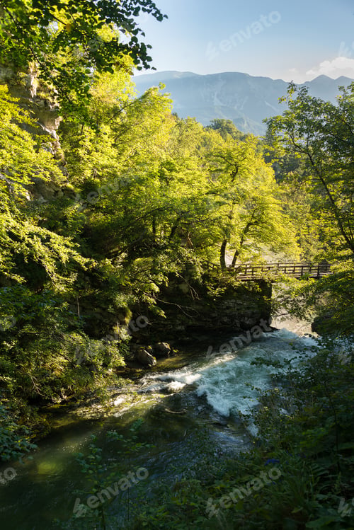 Preview: Morning In Vintgar Gorge In Slovenia On A Lovely Summer Morning