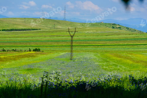 Preview: Amazing Landscape With Mountains And Yellow Field Flowers, Armenia