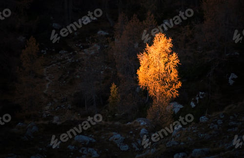 Preview: Autumn In The Valley Of The Seven Lakes In Julian Alps