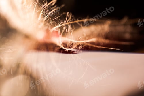 Preview: Macro, Abstract Composition With Colorful Water Drops On Dandelion Seeds