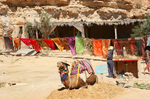 Preview: Tourist Attractions And Souvenir Shops In The Sahara Desert Near A Scarce Water Well, Lying Camel