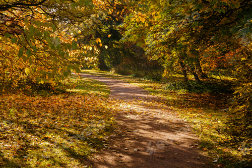Preview: Scenic Scene In The Autumn Park. Yellow Foliage Of Trees In Autumn. Yellow And Red In The Garden.