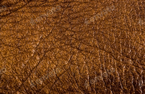 Preview: Old Vintage Genuine Soft Brown Leather Texture Background, Top Layer With Pores And Scratches