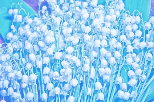 Preview: Spring Landscape. Flowers Lily Of The Valley