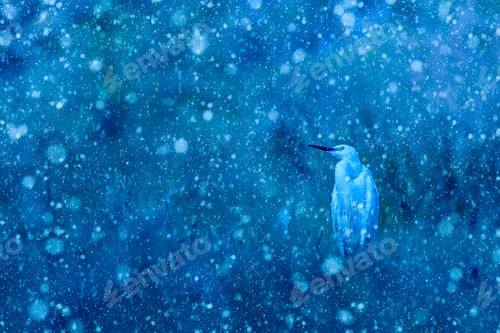 Preview: Winter Season And Animals. Falling Snow. Blue Nature Background. Little Egret.