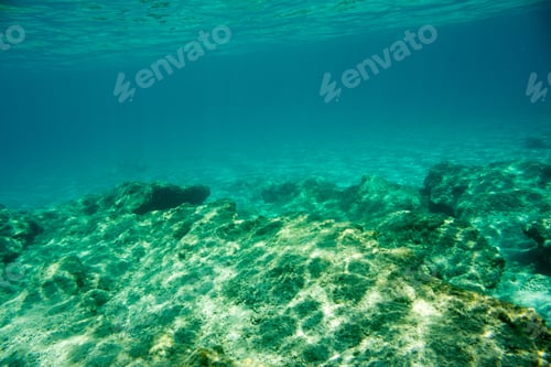Preview: Underwater Texture And Fauna In Ionian Sea, Zakynthos, Greece