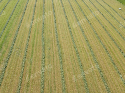 Preview: Aerial View Of Hay Field In Evening Sunlight In Switzerland With