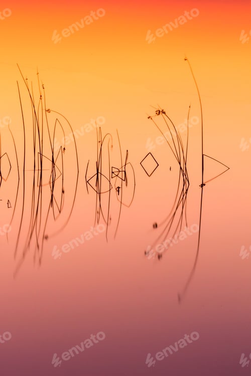Preview: Colorful Lake. Water Background.