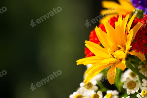 Preview: A Bouquet Of Bright Spring Flowers Of Various Types