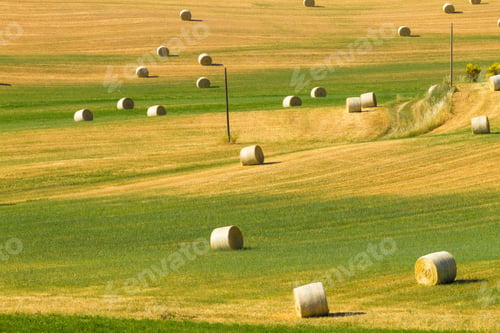 Preview: Tuscany Hills Landscape, Italy. Rural Italian Panorama.