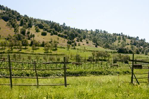 Preview: Mountain Landscape In Maramures, Romania