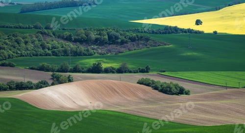 Preview: South Moravia Landscape And Farmland In The Spring With Rapeseed In The Fields.