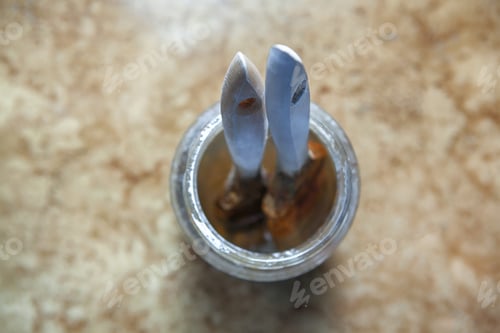 Preview: Brushes For Painting