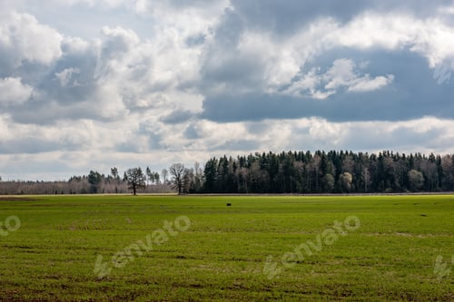 Preview: Bright Fresh Fields In Country Under Blue Sky With White Storm Clouds