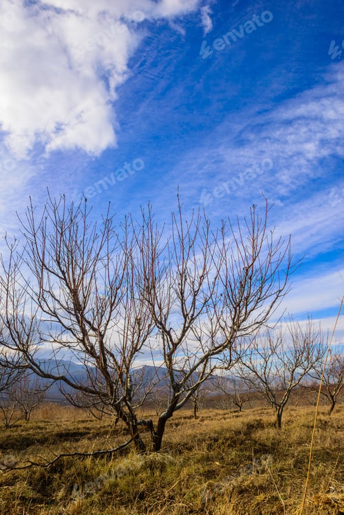 Preview: Marvelous Skyscape, Armenia