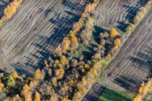 Preview: Aerial View Over The Colourful Trees And Fields In Autumn