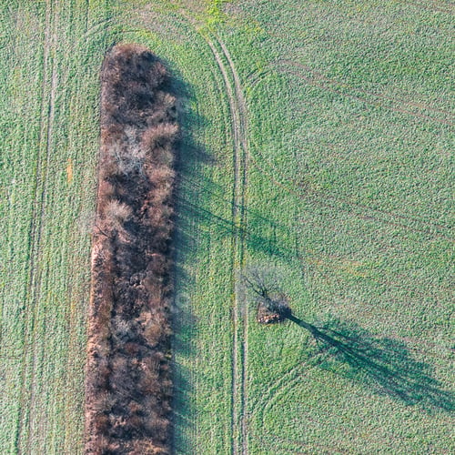 Preview: Aerial View Over The Rural Fields In Late Autumn