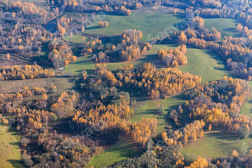 Preview: Aerial View Over The Fields And Forest In Autumn