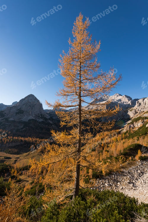 Preview: Autumn In The Julian Alps