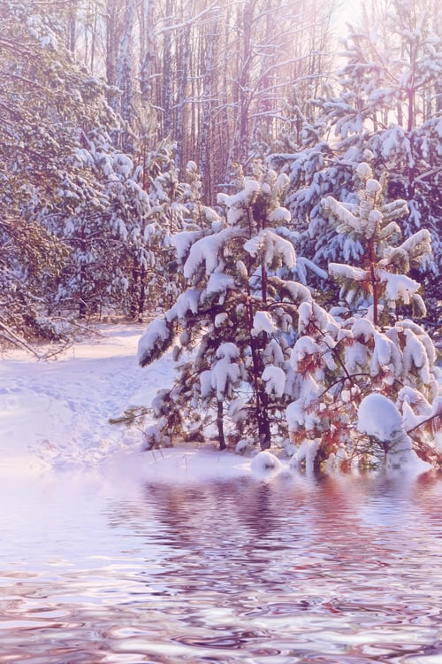 Preview: Winter Landscape.