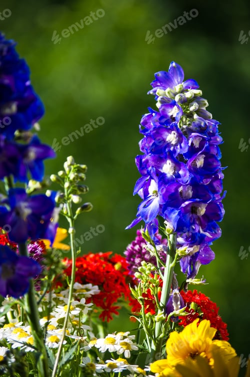Preview: A Bouquet Of Bright Spring Flowers Of Various Types
