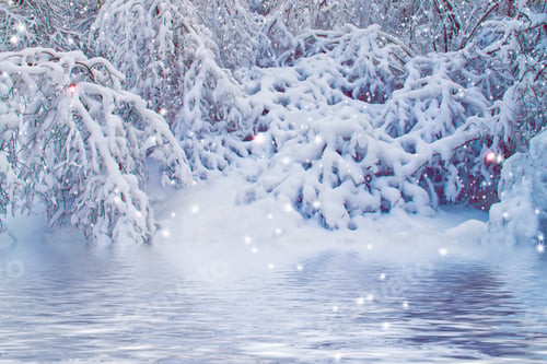 Preview: Frozen Winter Forest With Snow Covered Trees. Outdoor