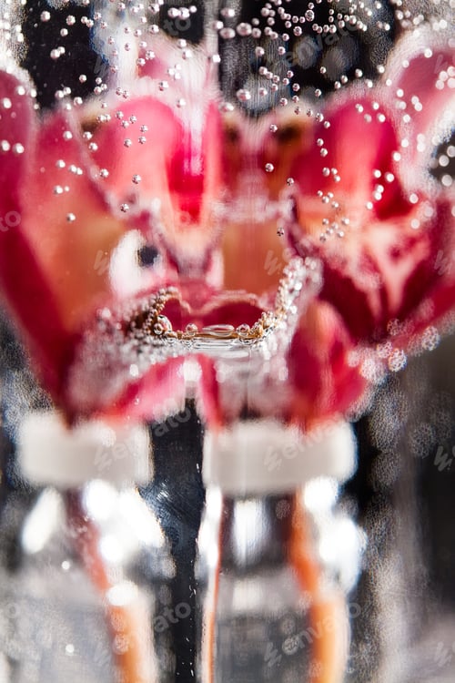 Preview: Abstract Underwater Composition With Blurry Orchid Petals, Bubbles And Light