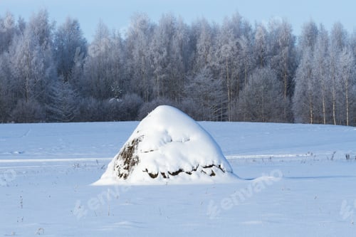 Preview: Frosty And Snowy Winter In Countryside