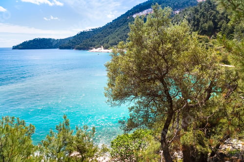Preview: Summer Vacation Background With Turquoise Sea Water Bay And Pine Trees In Greek Island, Greece