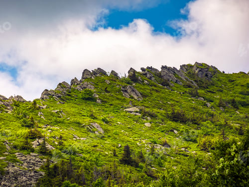 Preview: Huge Rocks On The Edge Of A Mountain Ridge. Beautiful Carpathian Nature