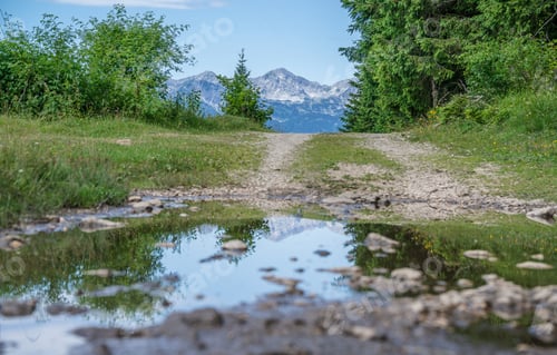 Preview: Hiking Over The Meadows And Hills On Pokljuka Plateau In Slovenia