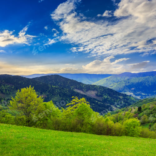 Preview: Mountain Summer Landscape. Trees Near Meadow And Forest On Hillside Under Sky With Clouds