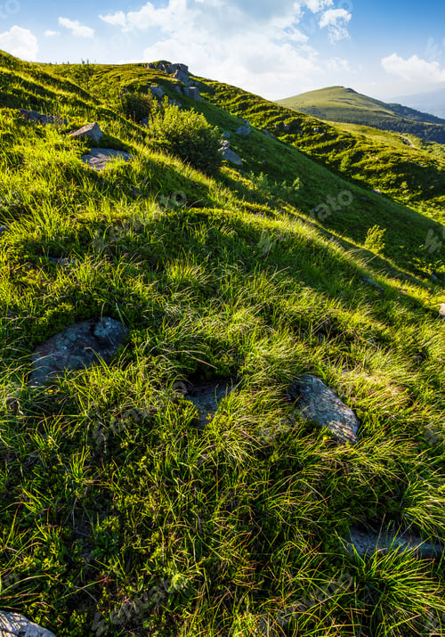 Preview: Grassy Slope Of Mountain In Summertime. Lovely Nature Background