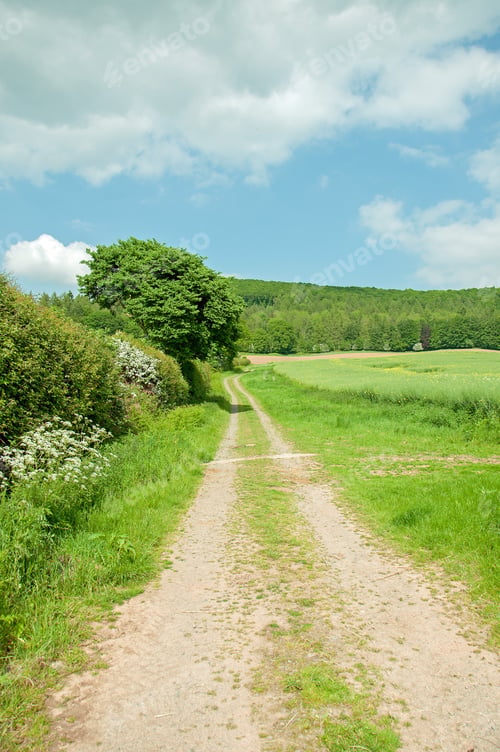Preview: Summertime Landscape In Herefordshire, United Kingdom.