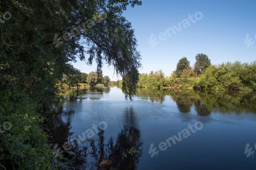 Preview: Overhanging Willow Tree By The River Trent At Thrumpton, Nottinghamshire, Uk