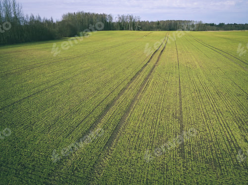 Preview: Drone Image. Aerial View Of Rural Area With Freshly Green Fields, Country Roads And Tractor Tracks