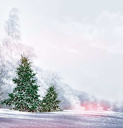 Preview: Winter Forest. Winter Landscape
