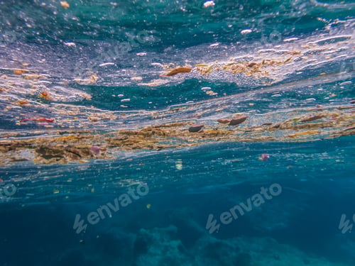 Preview: Underwater Waves Views Around The Small Caribbean Island Of Curacao