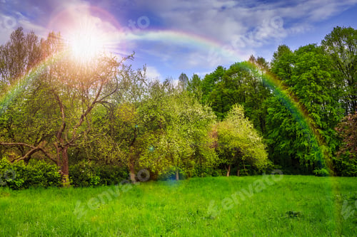 Preview: Spring Landscape With Trees Near Valley And Colorful Forest On Hillside Under Blue Sky With Clouds