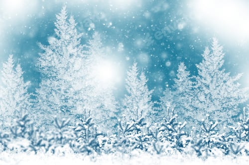 Preview: Frozen Winter Forest With Snow Covered Trees. Outdoor. Happy New Year And Christmas. Greeting Card.