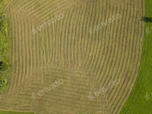 Preview: Aerial View Of Hay Grass Lying In Regular Pattern On Grass Meadow. Ready For Collection By Farmer.