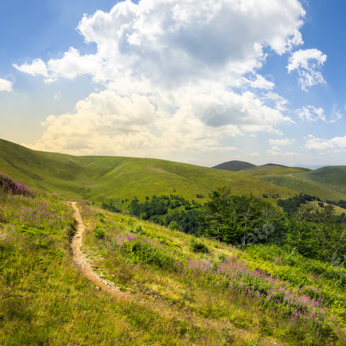 Preview: Thin Path Near The Lawn With Purple Flowers In The Shade Of Trees On A Hillside