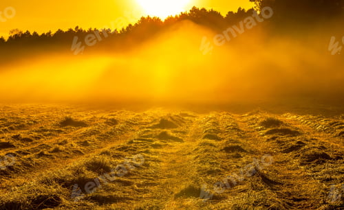 Preview: Morning Foggy Meadow Landscape In Polish Countryside. Polish Morning Landscape.