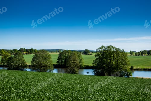 Preview: Green Field, River And Blue Sky